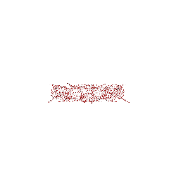 Crueger Clothing